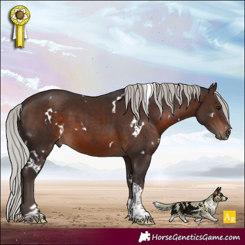 Horse Color:White Spotted Silver Brown Tobiano 