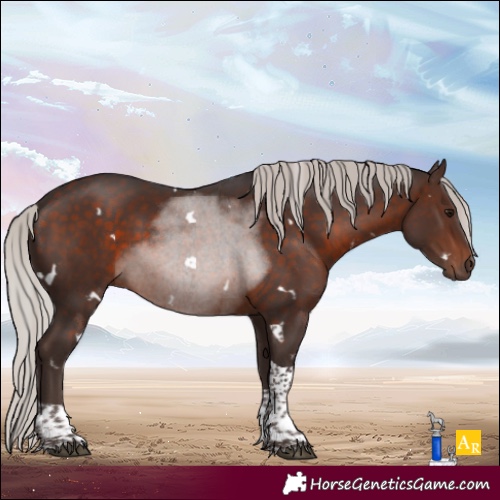 Horse Color:White Spotted Silver Brown Tobiano 