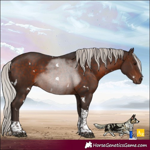 Horse Color:White Spotted Silver Brown Tobiano 