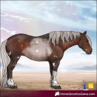 Horse Color:White Spotted Silver Brown Tobiano 