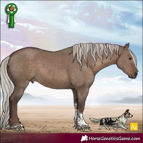 Horse Color:Silver Grullo Tobiano Rabicano