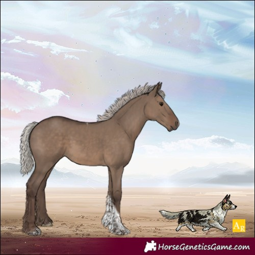 Horse Color:Silver Grullo Tobiano Rabicano