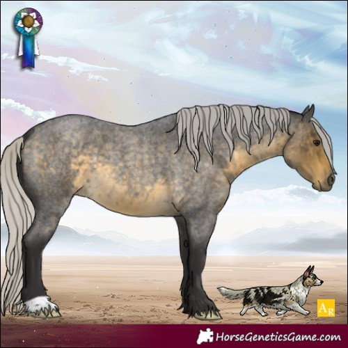 Horse Color:Silver Buckskin Roan 