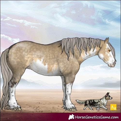 Horse Color:White Spotted Silver Buckskin Dun 