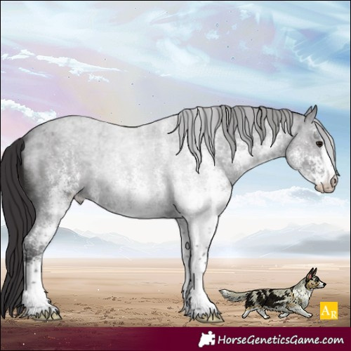Horse Color:White Spotted Smoky Blue Roan