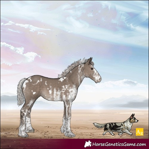 Horse Color:White Spotted Silver Grullo Mushroom