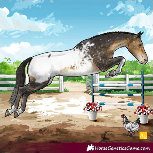 Horse Color:Buckskin Tobiano Near Fewspot