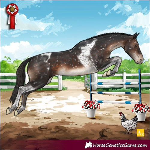 Horse Color:Brown Tobiano Blanket
