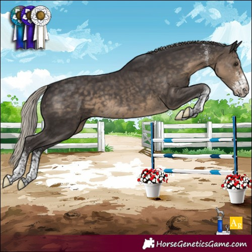Horse Color:White Spotted Silver Smoky Black
