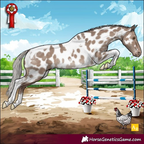 Horse Color:Silver Grullo Mushroom Tobiano Appaloosa Rabicano 