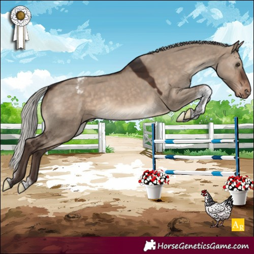 Horse Color:Silver Brown Dun Tobiano Appaloosa 