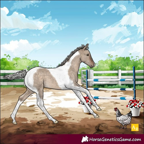 Horse Color:Silver Brown Dun Tobiano