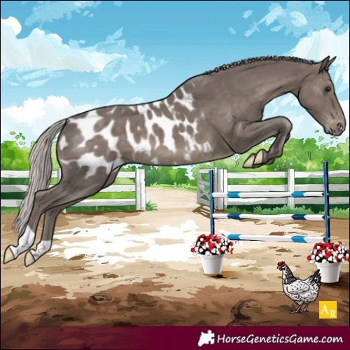 Horse Color:Silver Black Blanket 