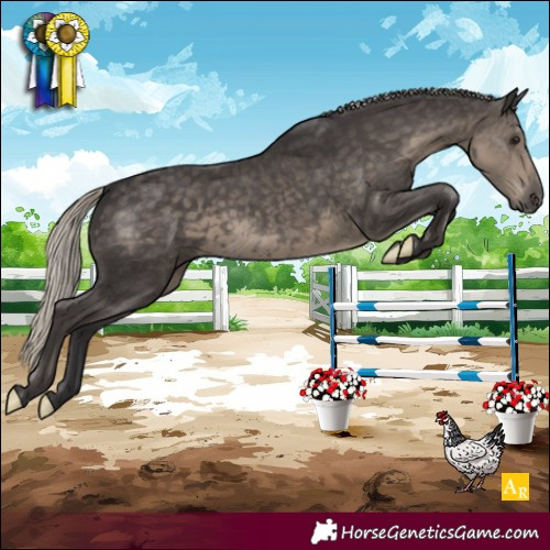 Horse Color:Silver Smoky Black