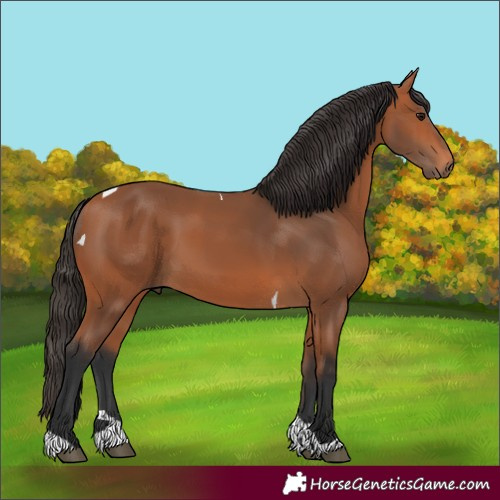 Horse Color:Bay Tobiano