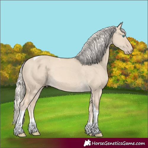 Horse Color:Cremello Dun Tobiano 