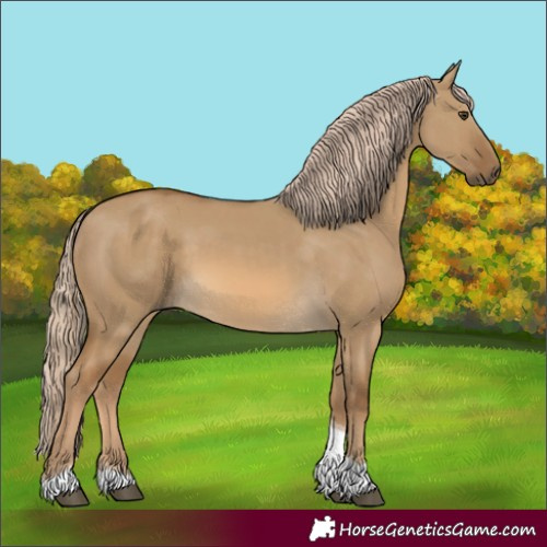Horse Color:Unknown 
