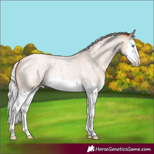 Horse Color:Silver Sable Champagne Roan Splash 