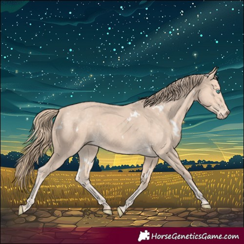 Horse Color:White Spotted Perlino