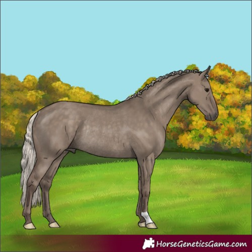 Horse Color:Silver Grullo Rabicano