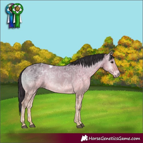 Horse Color:White Spotted Buckskin Ice Onyx