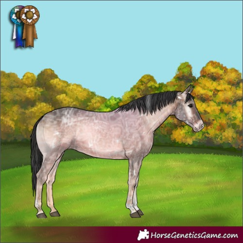 Horse Color:White Spotted Bay Ice Onyx Sabino Rabicano