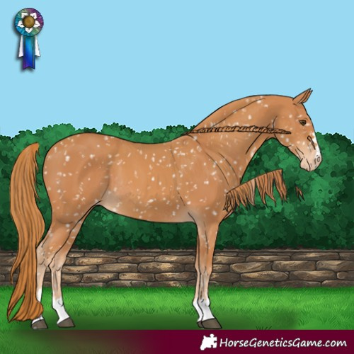 Horse Color:Chestnut Snowflake Varnish  and Chestnut Snowflake Varnish Rabicano 