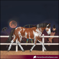 Horse Color:Bay Sabino and Bay Sabino