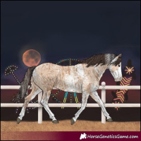 Horse Color:Bay Dun Sabino  and Amber Champagne Dun Sabino 