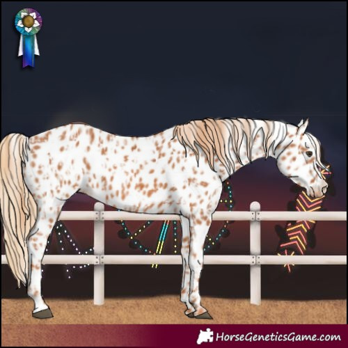 Horse Color:Chestnut Leopard and Chestnut Leopard