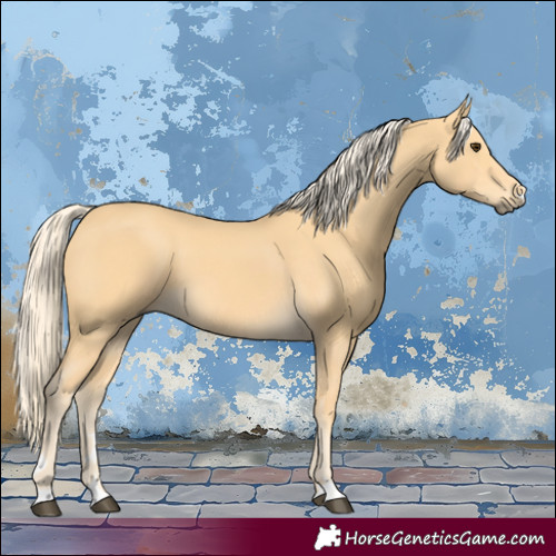 Horse Color:Palomino 