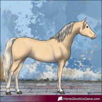 Horse Color:Palomino
