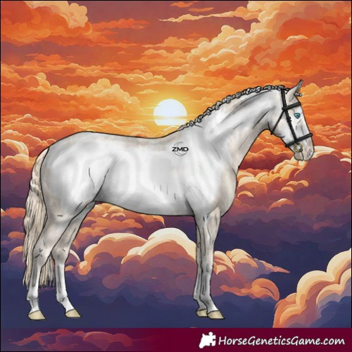 Horse Color:Cremello Frame Appaloosa  and Smoky Creme Frame Appaloosa 