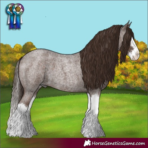 Horse Color:Liver Red Roan Splash 