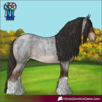Horse Color:Liver Red Roan
