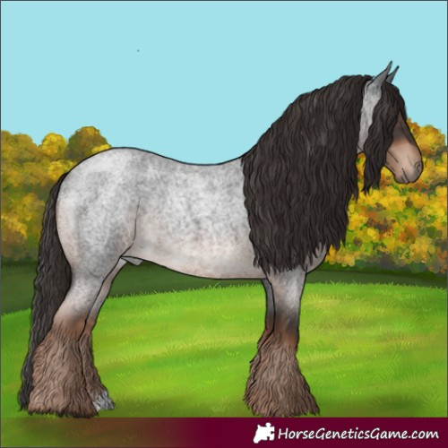 Horse Color:Liver Red Roan