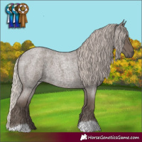 Horse Color:Silver Blue Roan 