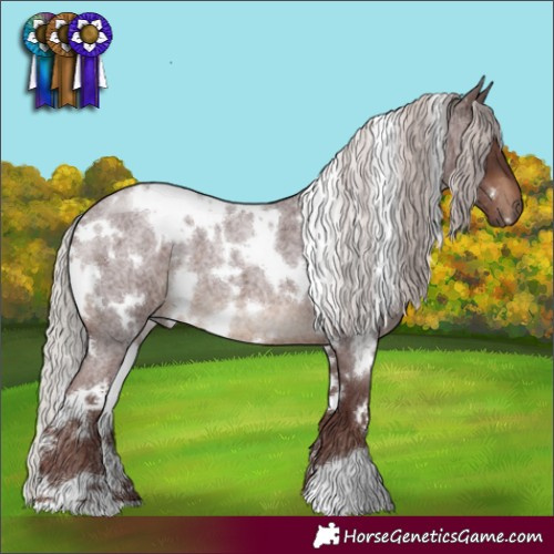 Horse Color:White Spotted Chocolate Silver Brown Roan 