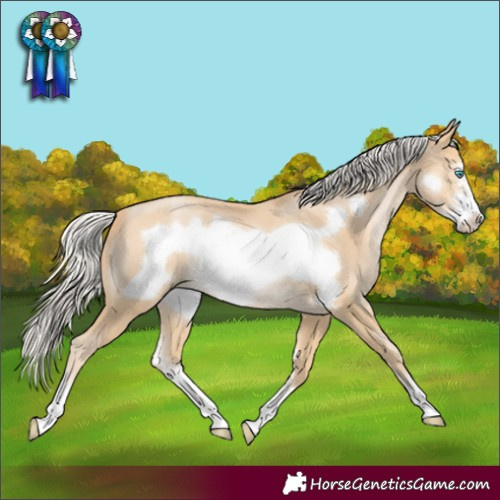 Horse Color:Silver Smoky Black Pearl Sabino Frame