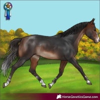 Horse Color:Bay Rabicano 