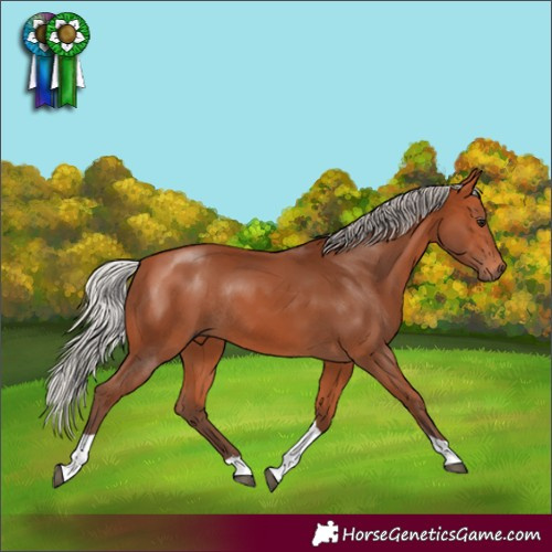 Horse Color:Silver Bay Tobiano Rabicano 