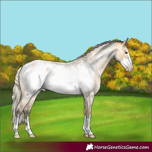 Horse Color:Silver Buckskin Roan Dun Frame Blanket