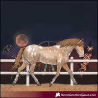 Horse Color:Bay Pearl Near Leopard 
