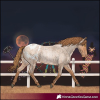 Horse Color:Bay Roan Pearl Blanket 