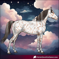 Horse Color:Bay Near Leopard  and Bay Near Leopard 