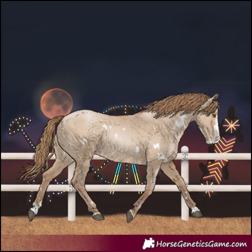 Horse Color:White Spotted Grullo Pearl Splash 