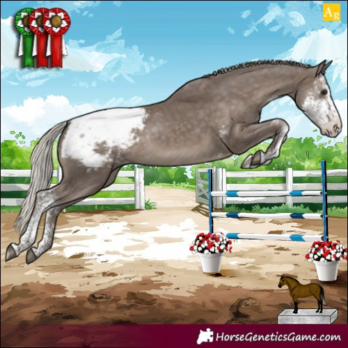 Horse Color:Silver Black Sabino Appaloosa Rabicano 