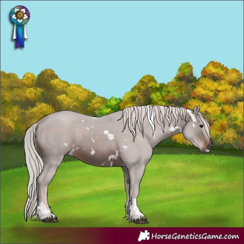 Horse Color:White Spotted Silver Brown Tobiano 