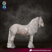 Horse Color:White Spotted Silver Brown Tobiano