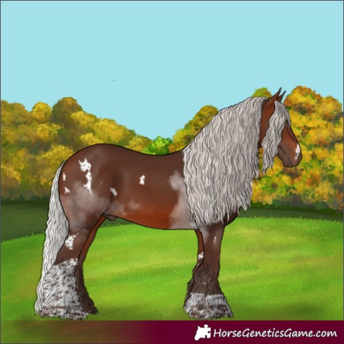 Horse Color:White Spotted Silver Brown Mushroom Tobiano Rabicano